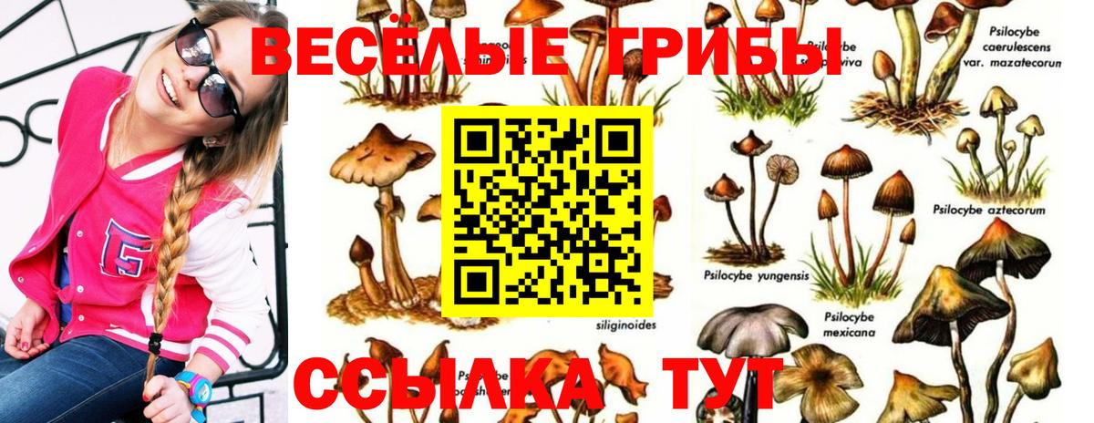 Кстово  Галлюциногенные грибы MAGIC MUSHROOMS  Галлюциногенные грибы GOLDEN TEACHER  Вход с VPN 
